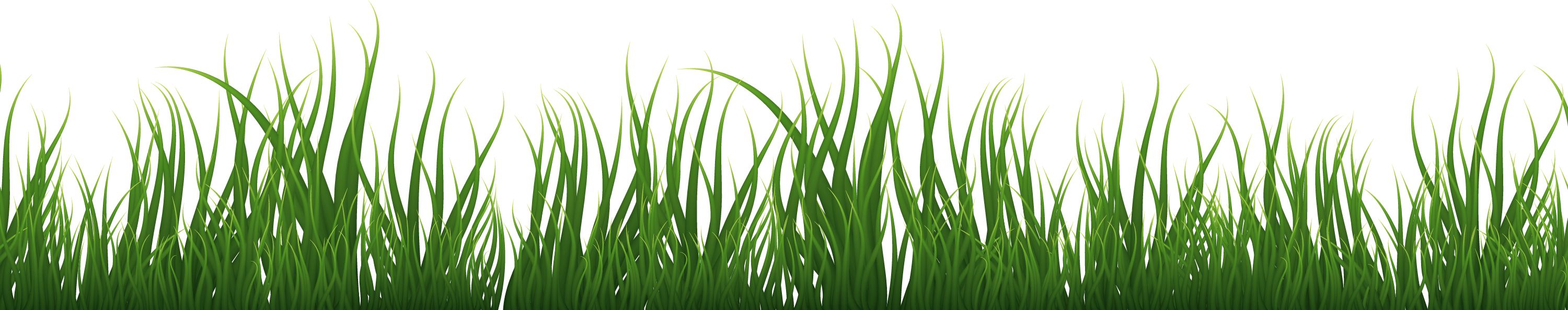 Border d'herbe